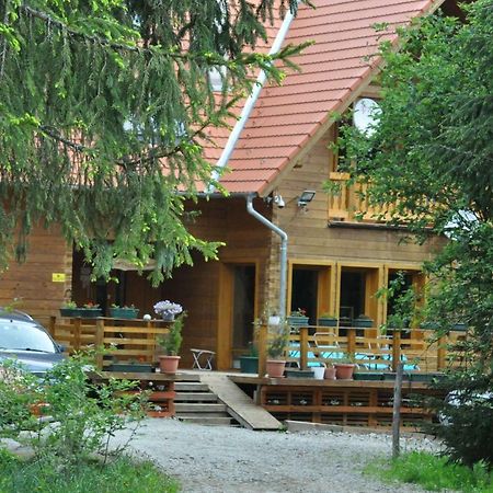 Mofetta Panzio Bed & Breakfast Sintimbru-Bai Екстериор снимка