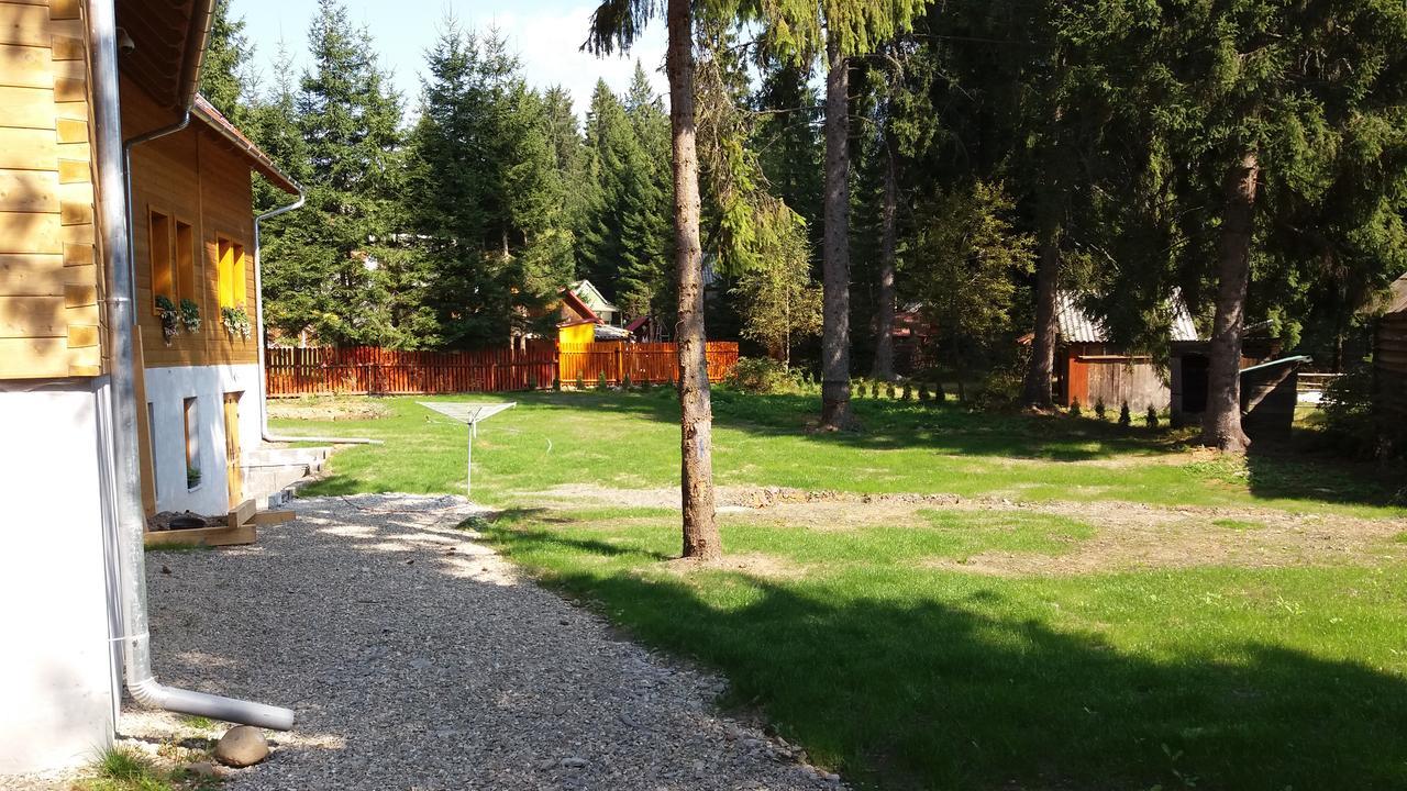 Mofetta Panzio Bed & Breakfast Sintimbru-Bai Екстериор снимка