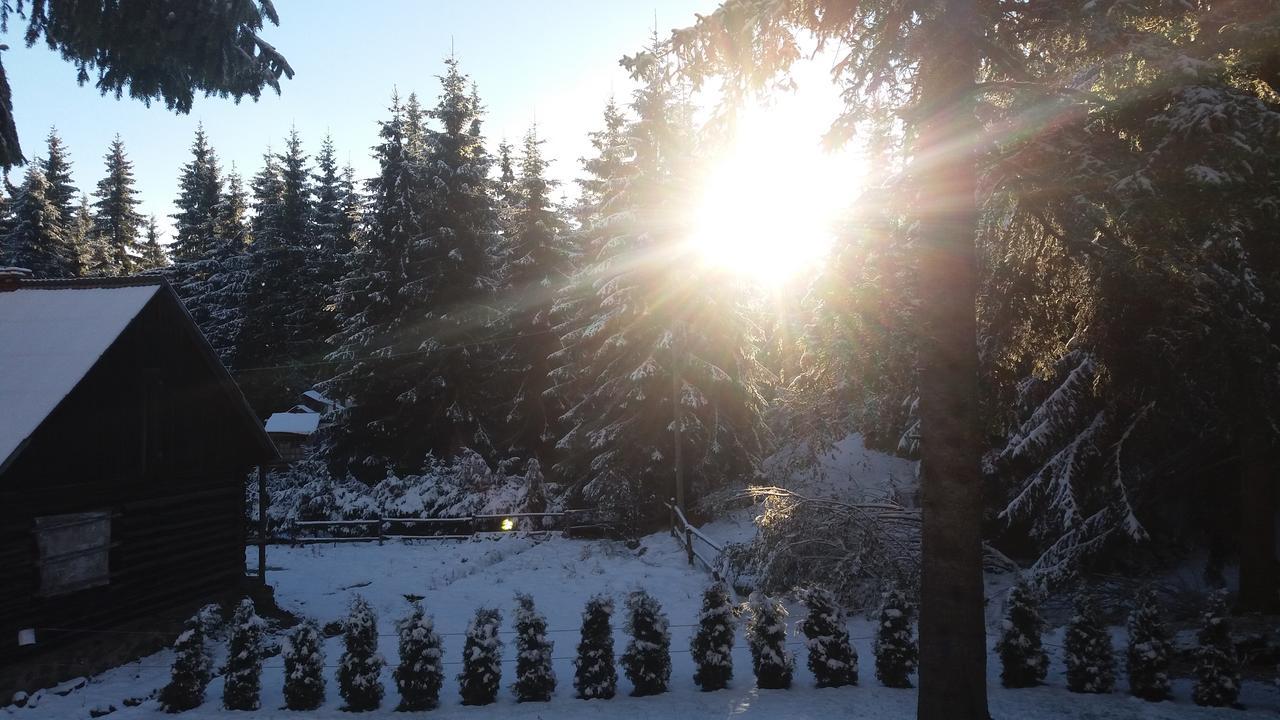 Mofetta Panzio Bed & Breakfast Sintimbru-Bai Екстериор снимка