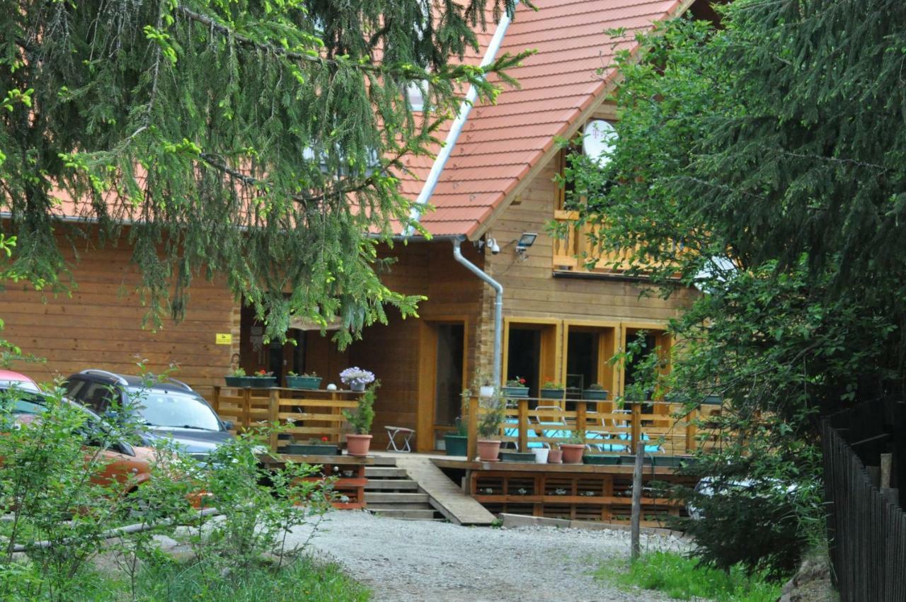 Mofetta Panzio Bed & Breakfast Sintimbru-Bai Екстериор снимка